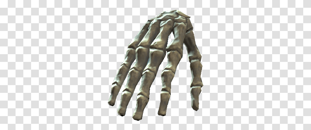 Bones Of The Right Hand Bones, Person, Human, Hook, Claw Transparent Png