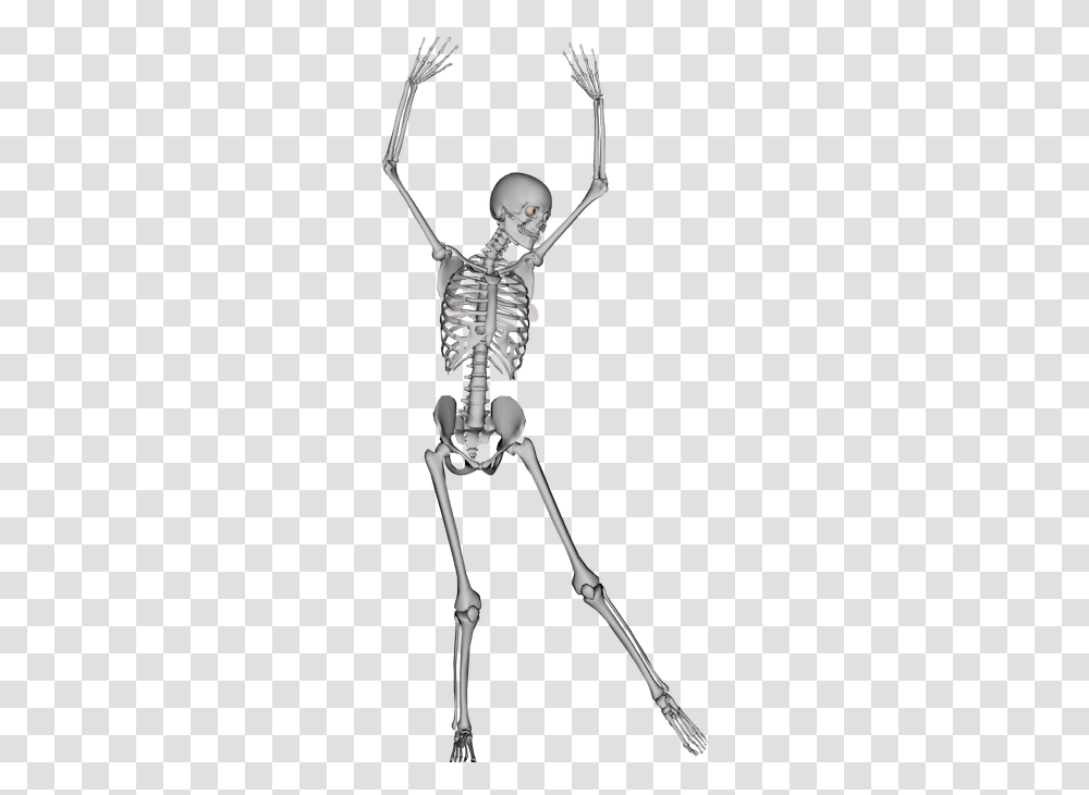 Bones Skeleton Dance, Bow, Person, Human Transparent Png