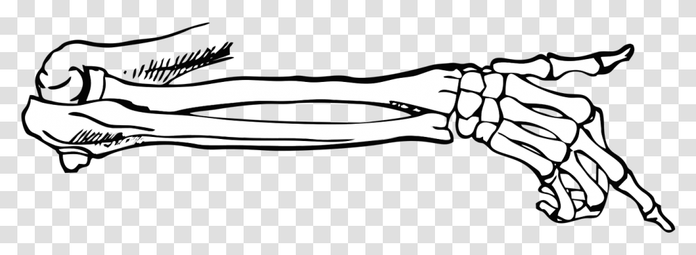 Bones Skeleton Point Body Vector Free Vector Skeleton Hand Pointing, Gun, Weapon, Cutlery, Tool Transparent Png