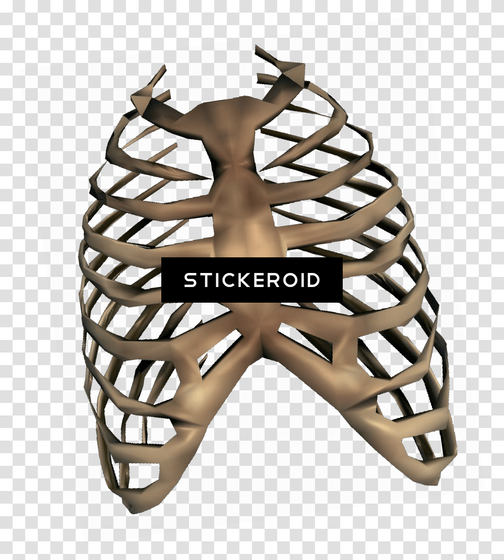 Bones, Steamer, Skeleton, Coil, Spiral Transparent Png