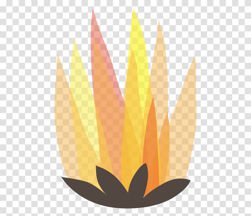 Bonfires, Plant, Flame Transparent Png