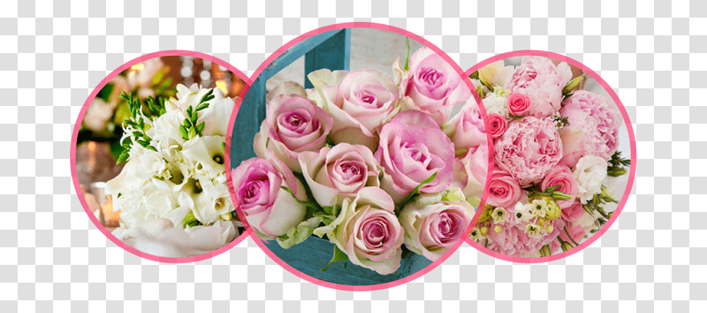 Bonne Journe Bon Lundi, Flower Bouquet, Flower Arrangement, Plant, Blossom Transparent Png