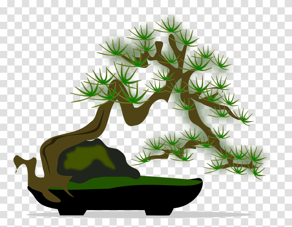 Bonsai 960, Wildlife, Animal, Plant, Amphibian Transparent Png