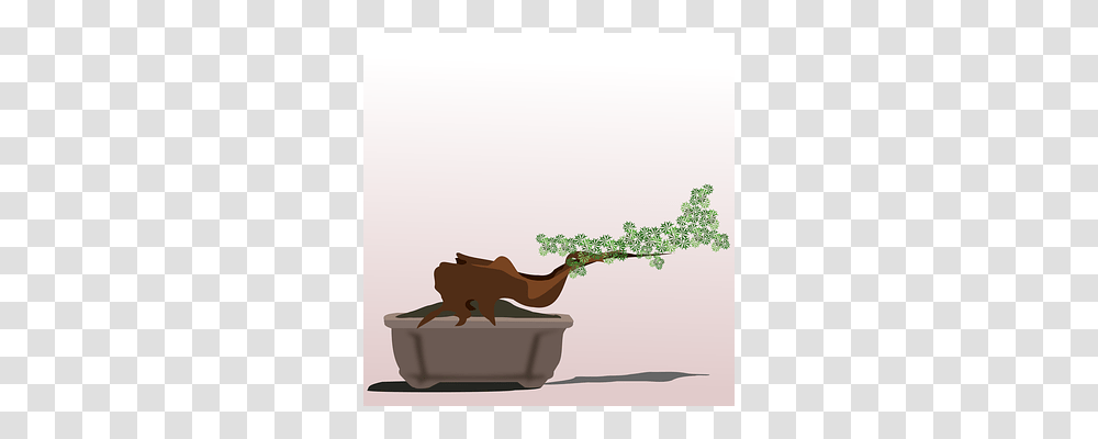 Bonsai Mammal, Animal, Wildlife, Kangaroo Transparent Png