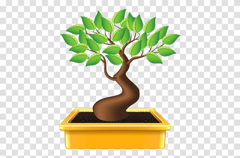 Bonsai Clipart Image Bonsai Clipart Images, Tree, Plant, Potted Plant, Vase Transparent Png