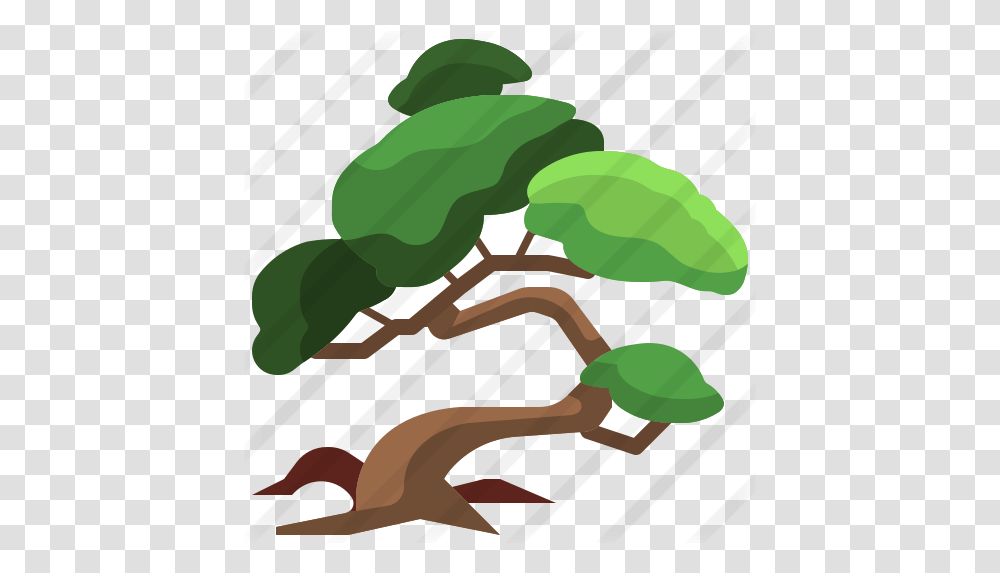 Bonsai Free Nature Icons Illustration, Plant, Vegetation, Tree, Green Transparent Png