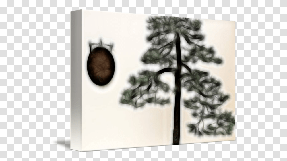 Bonsai Gong By Paul Coco Picture Frame, Tree, Plant, Conifer, Fir Transparent Png
