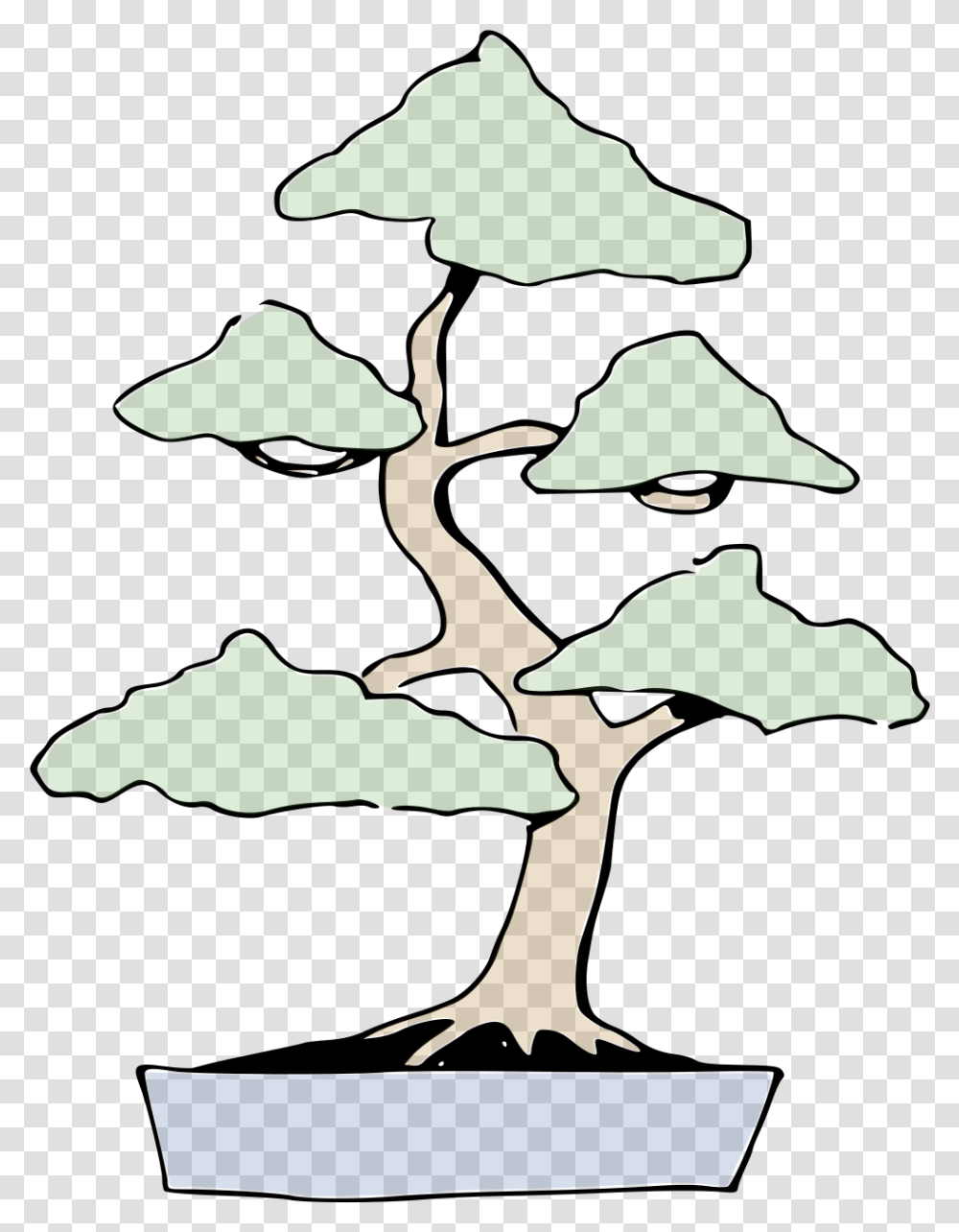 Bonsai, Land, Outdoors, Nature, Amphibian Transparent Png