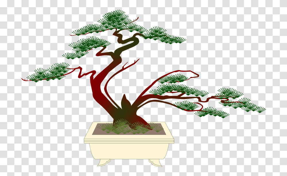 Bonsai Miniature Pine Free Image On Pixabay Bonzai Tree Cartoon, Plant, Vase, Jar, Pottery Transparent Png