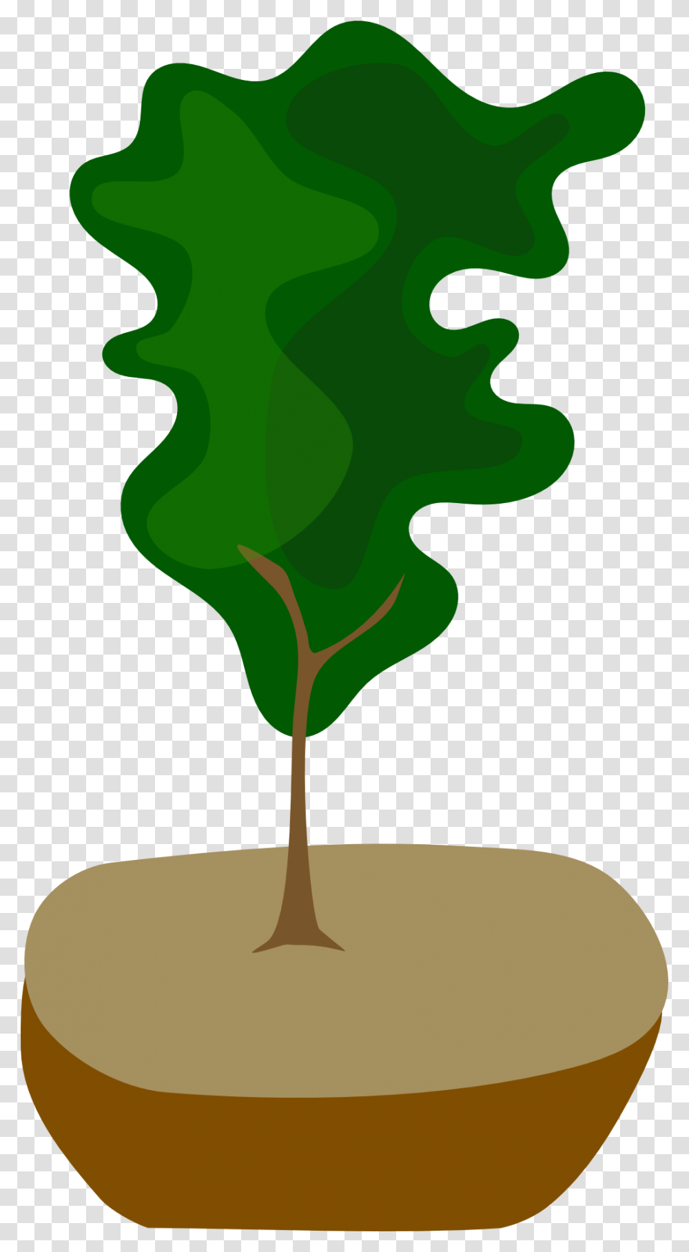 Bonsai, Plant, Light Transparent Png