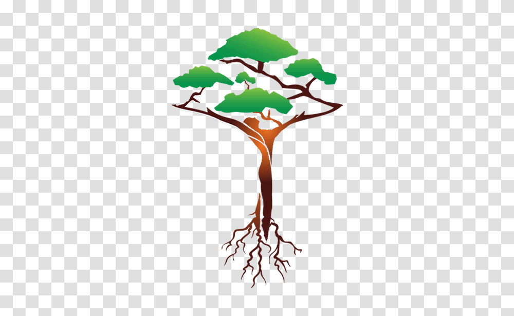Bonsai Professional Coaching Services, Root, Plant, Tree, Animal Transparent Png