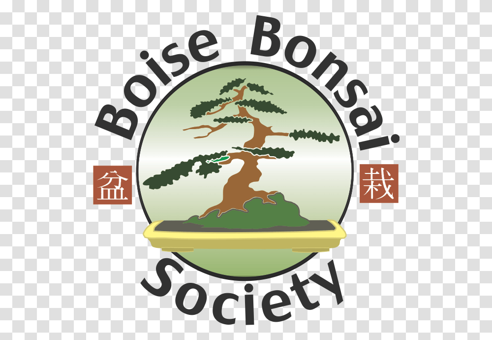 Bonsai Tree Ancient Asian Culture Bonsai, Astronomy, Outer Space, Universe, Planet Transparent Png