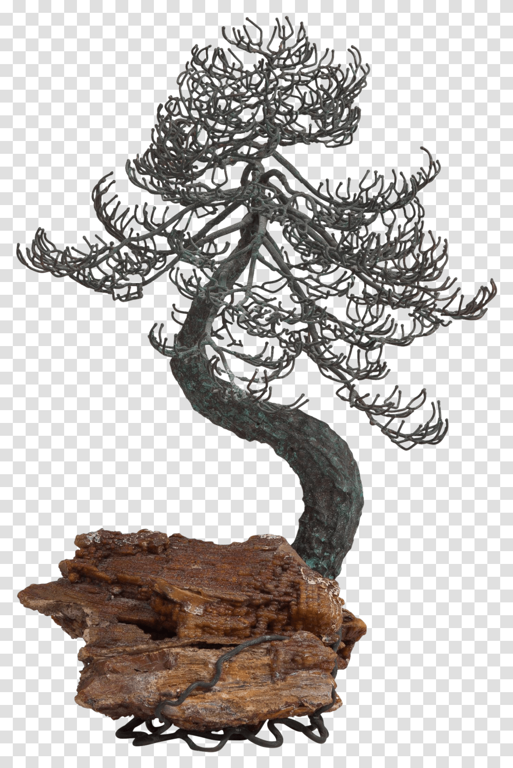 Bonsai Tree Bonsai, Plant, Vase, Jar, Pottery Transparent Png