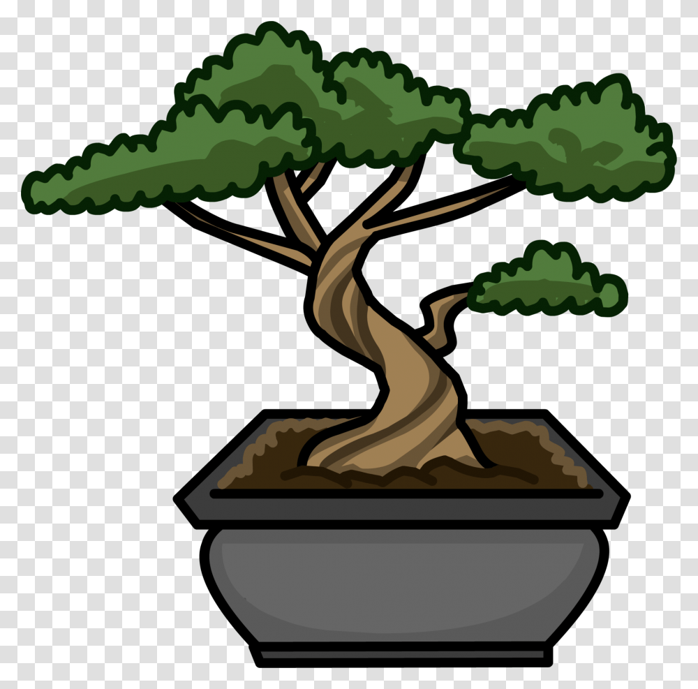 Bonsai Tree Cartoon Bonsai Tree, Plant, Root, Potted Plant, Vase Transparent Png