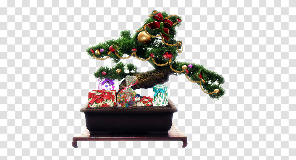Bonsai Tree Christmas Decorations, Plant, Ornament, Christmas Tree, Wedding Cake Transparent Png