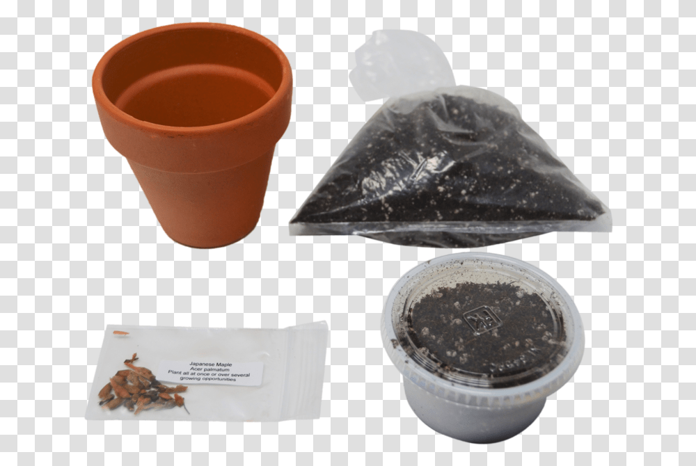 Bonsai Tree Garden Diy Grow Kit With Japanese Maple Flowerpot, Plastic, Soil, Plant, Cup Transparent Png