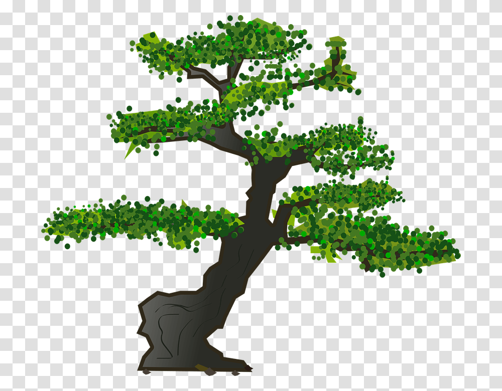 Bonsai Tree Leaves Plant Nature Green Foliage Bonsai Tree Vector Free, Oak, Tree Trunk, Sycamore, Cross Transparent Png
