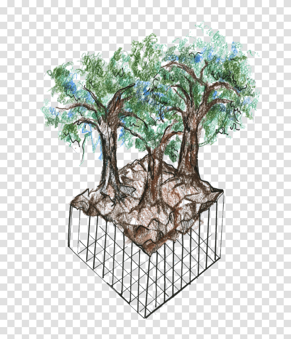 Bonsai Tree, Plant, Potted Plant, Vase, Jar Transparent Png