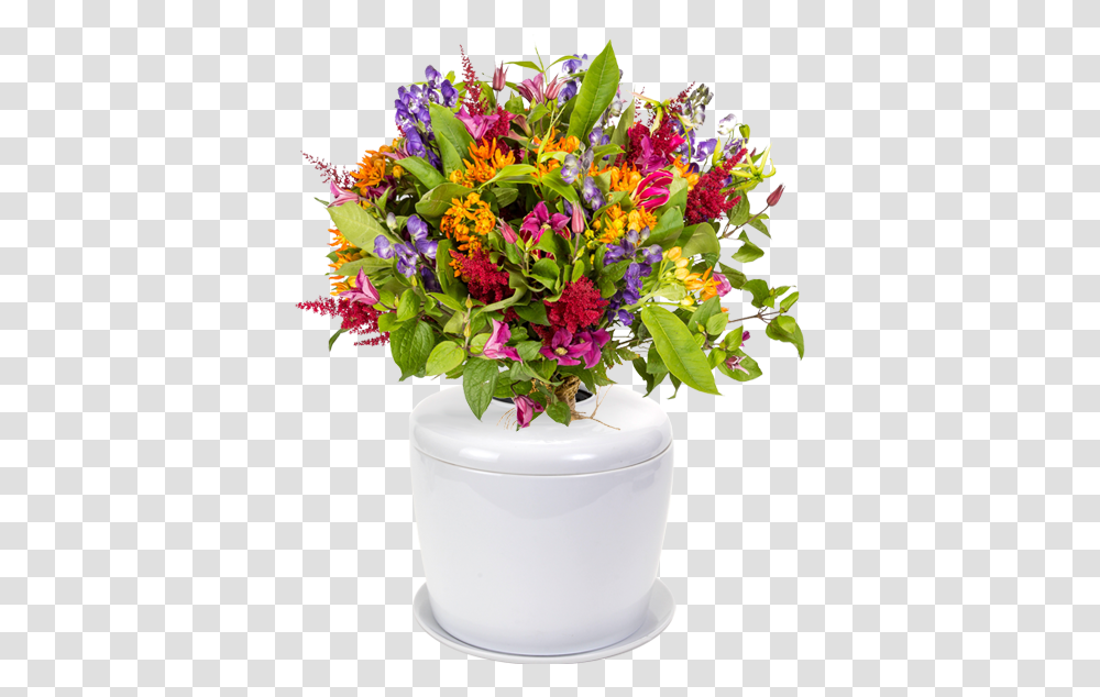 Bonsai Urn Ceramic Cremation Urn For A Bonsai Tree Bouquet, Plant, Flower, Blossom, Flower Arrangement Transparent Png