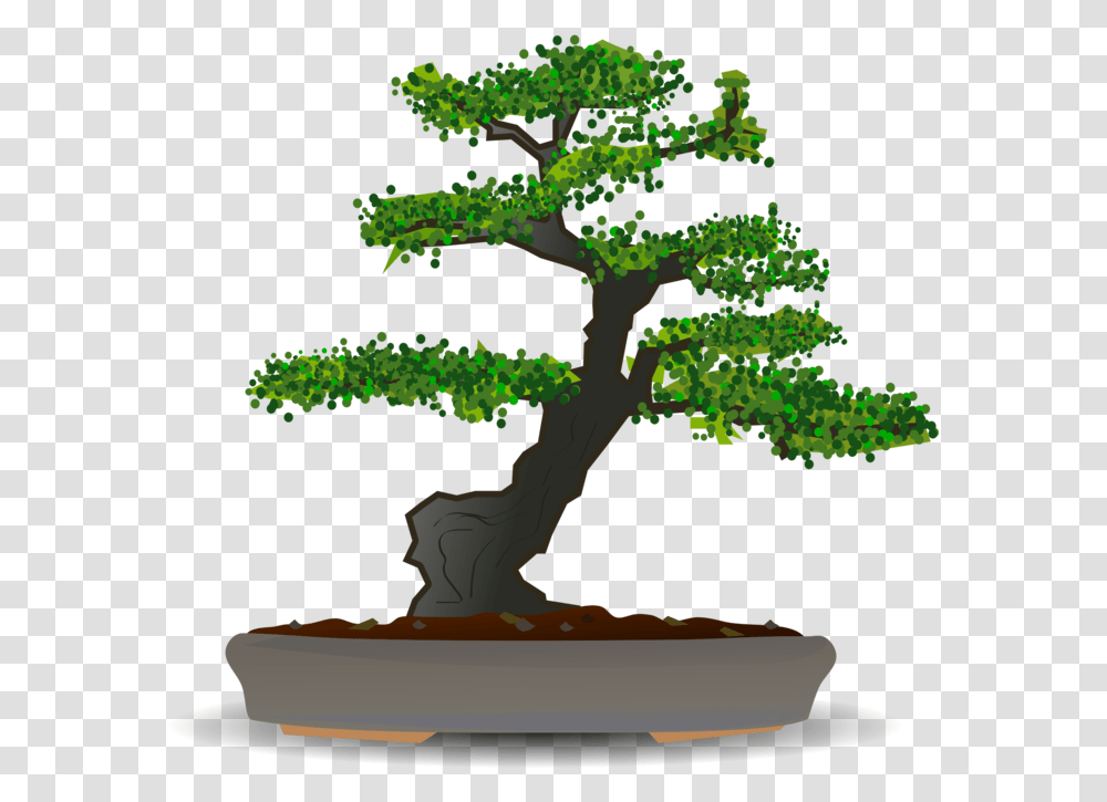 Bonsaiplanthouseplant Bonsai Tree Vector Free, Potted Plant, Vase, Jar, Pottery Transparent Png