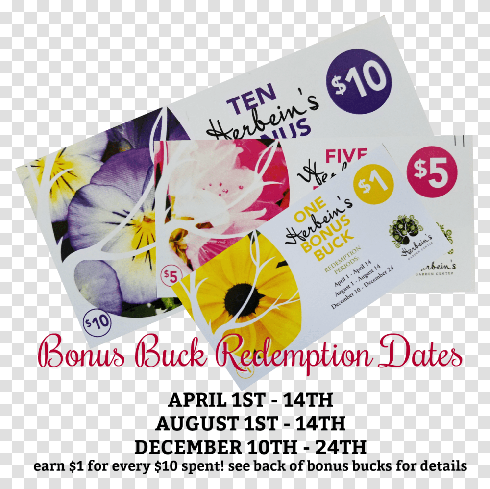 Bonus Bucks Redemption Dates Herbeins Garden Center Viola, Poster, Advertisement, Flyer, Paper Transparent Png