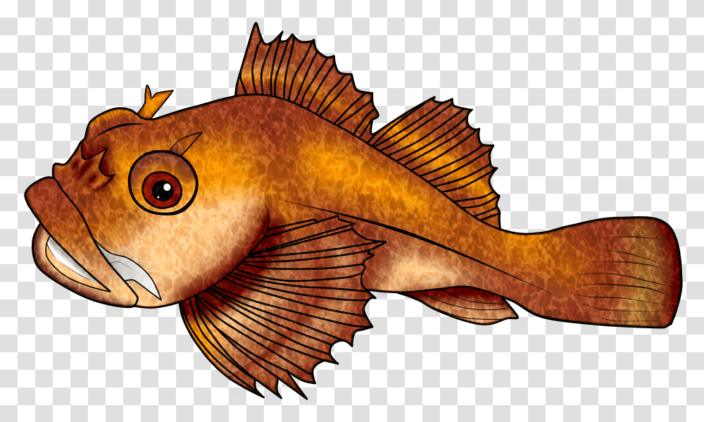 Bony Fish, Animal, Guitar, Leisure Activities, Musical Instrument Transparent Png