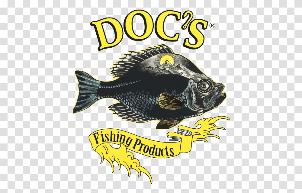 Bony Fish, Perch, Animal, Sea Life, Angelfish Transparent Png