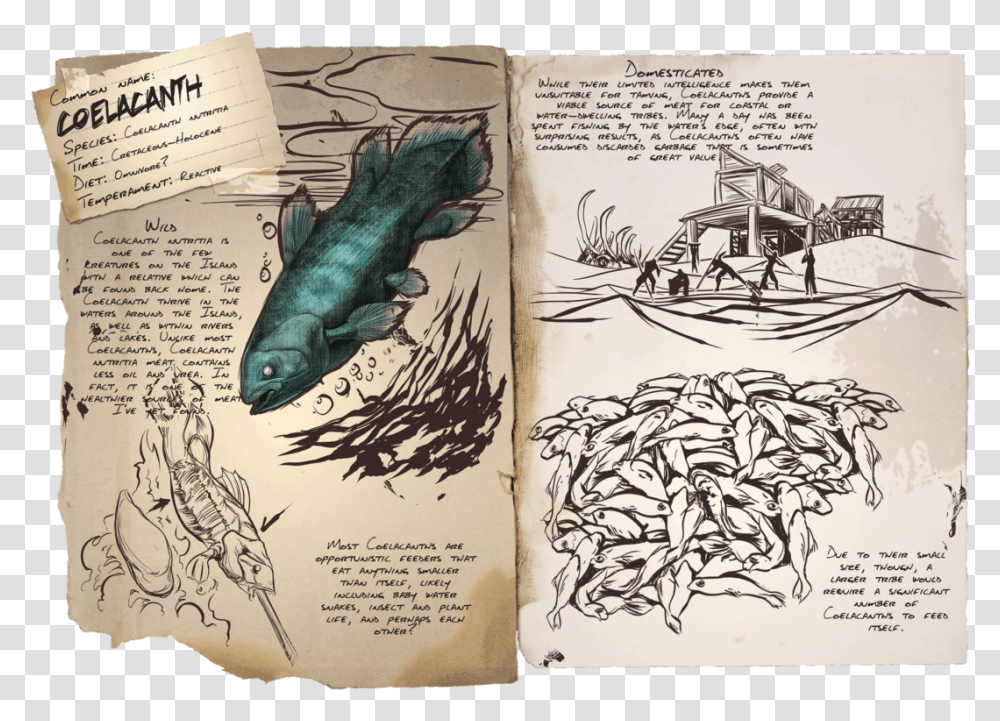 Book Ark Survival Evolved All Dinos, Bird, Animal, Fish Transparent Png