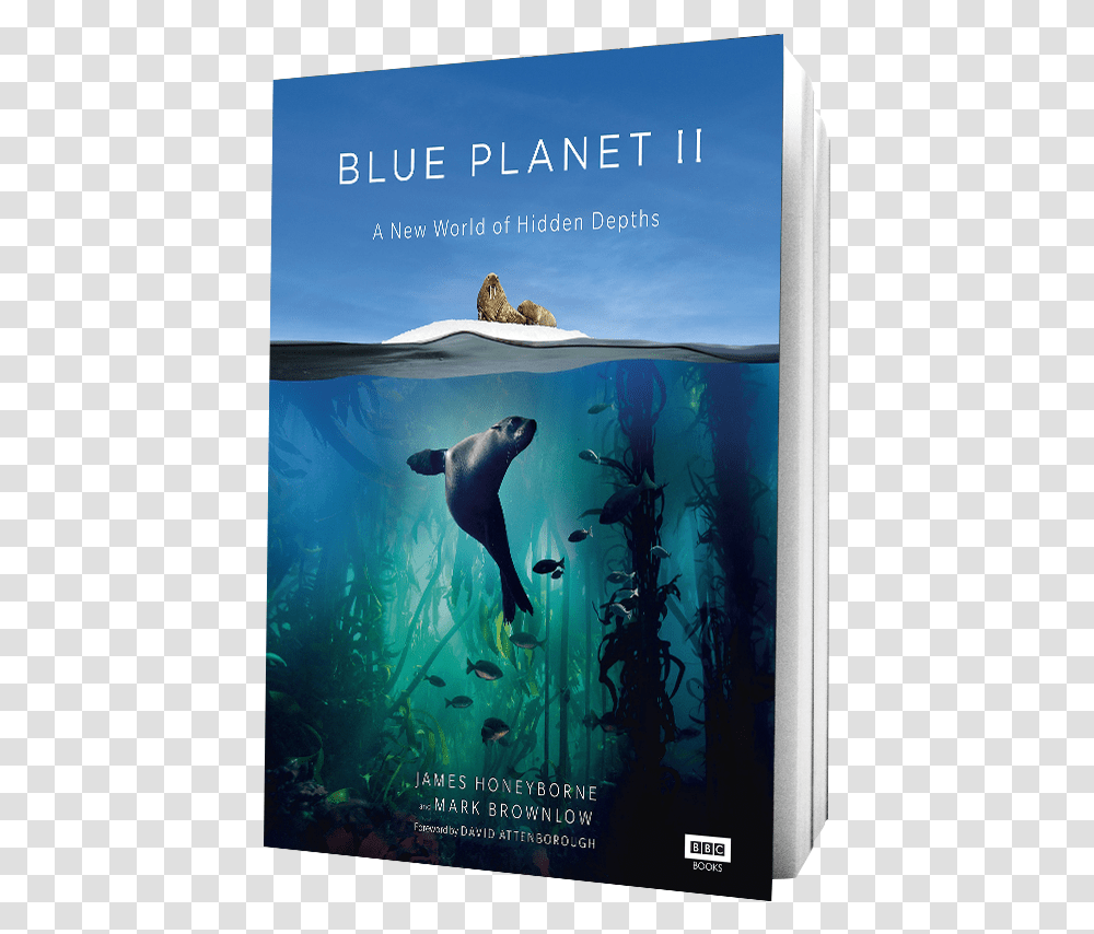 Book Blue Planet Ii On Background Blue Planet Ii, Sea Lion, Mammal, Sea Life, Animal Transparent Png