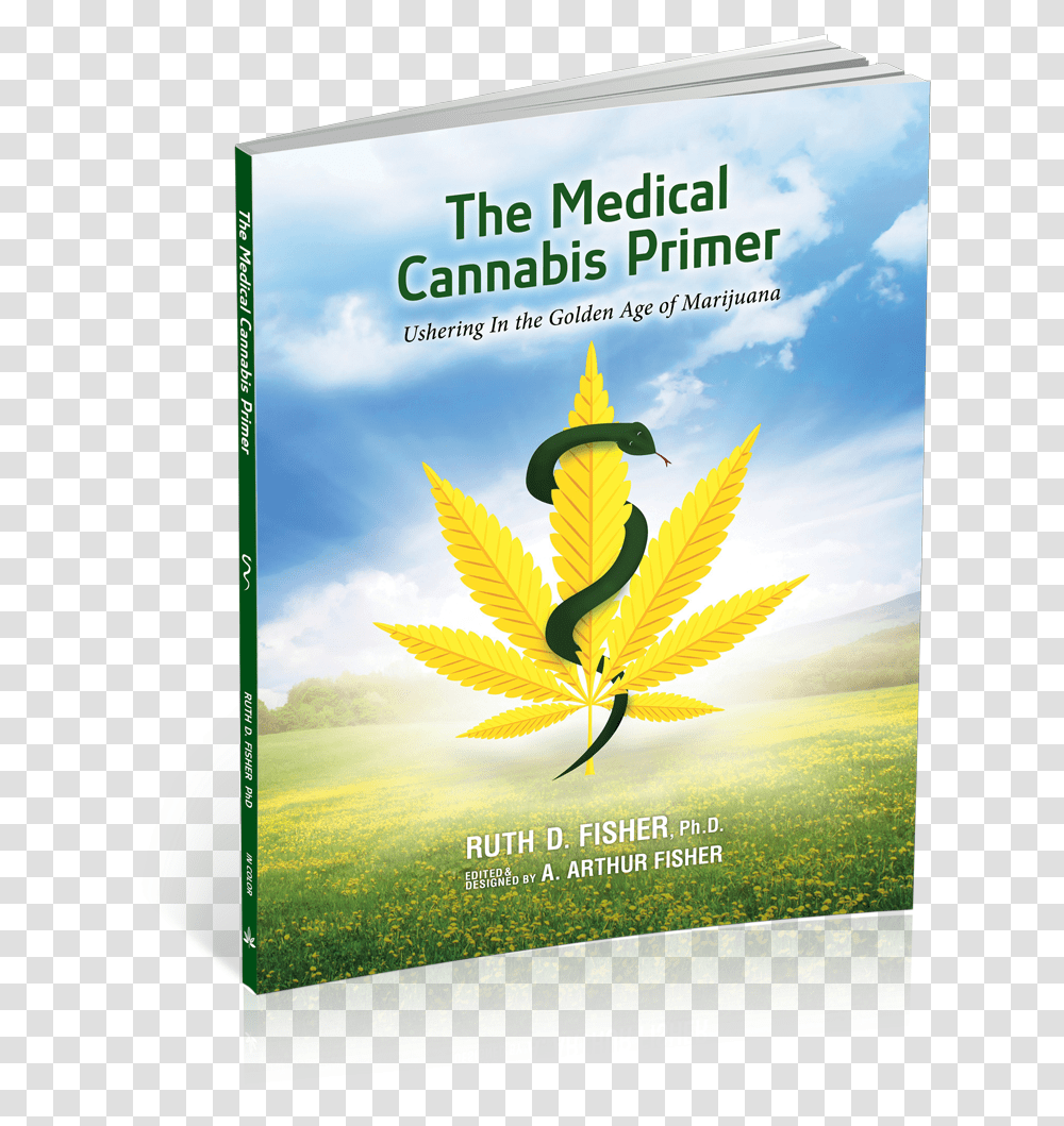 Book Cover, Advertisement, Poster, Flyer, Paper Transparent Png