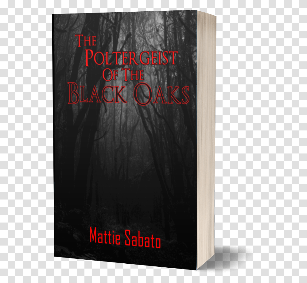 Book Cover, Poster, Advertisement, Novel Transparent Png