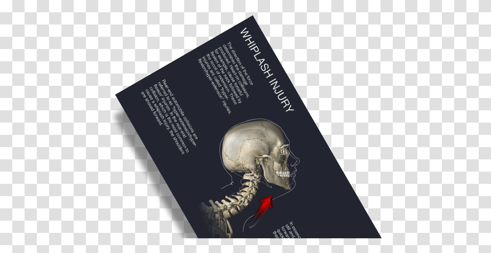 Book Cover, Poster, Advertisement, Paper Transparent Png