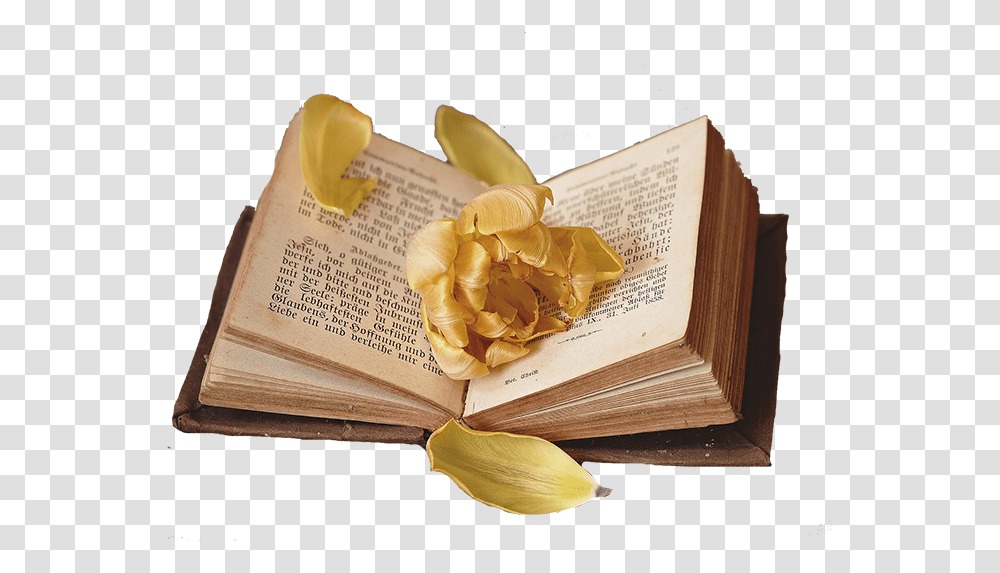 Book Libro Overlay Cooffe 7 Book Of Moses Money Spell, Paper, Flower, Plant Transparent Png