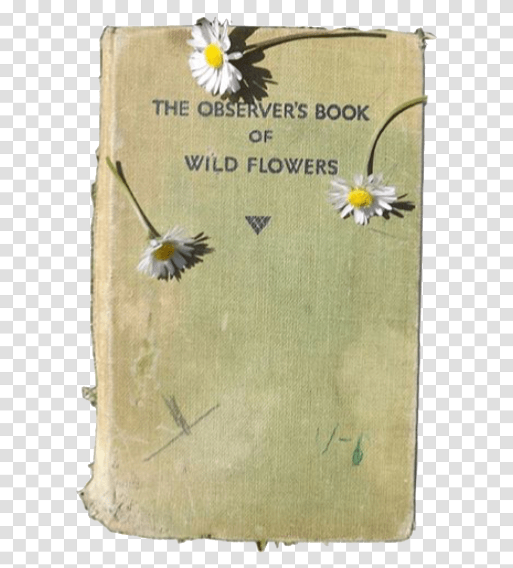 Book Of Flowers, Rug, Bird, Plant Transparent Png