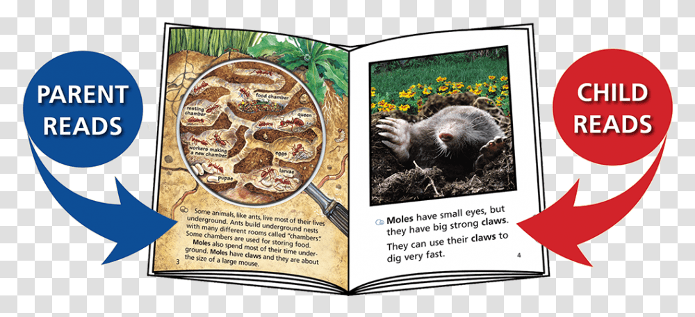 Book, Pizza, Food, Animal, Mammal Transparent Png