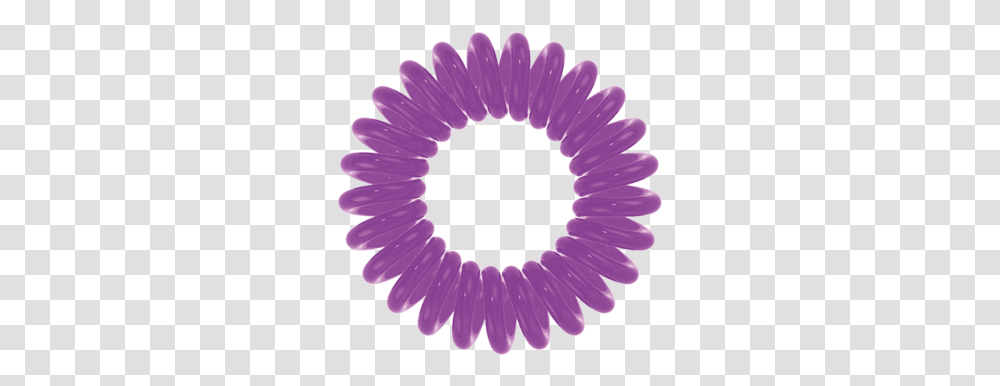 Book Today, Purple, Plant, Flower, Blossom Transparent Png