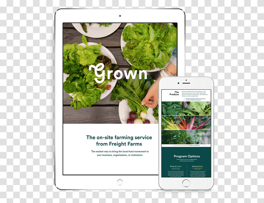 Booklet Preview Grown Comparison, Plant, Person, Human, Mobile Phone Transparent Png