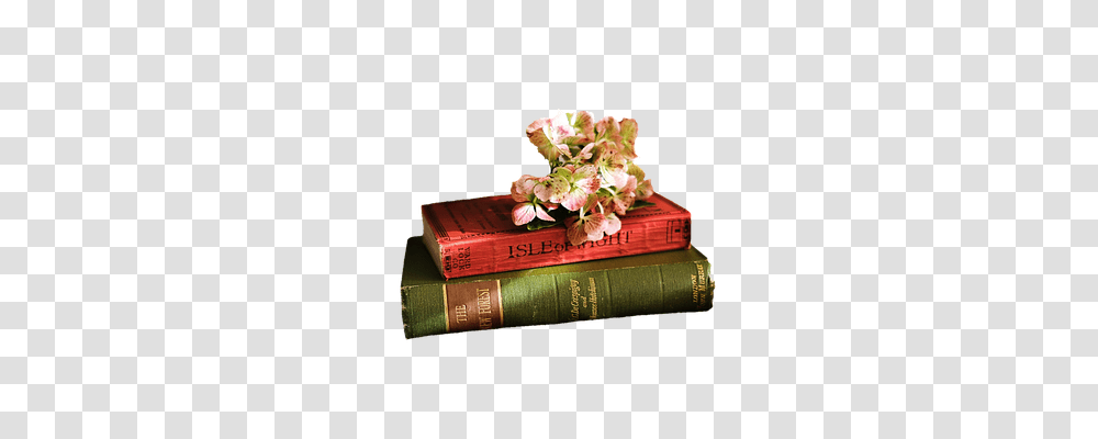 Books Education, Plant, Flower, Blossom Transparent Png
