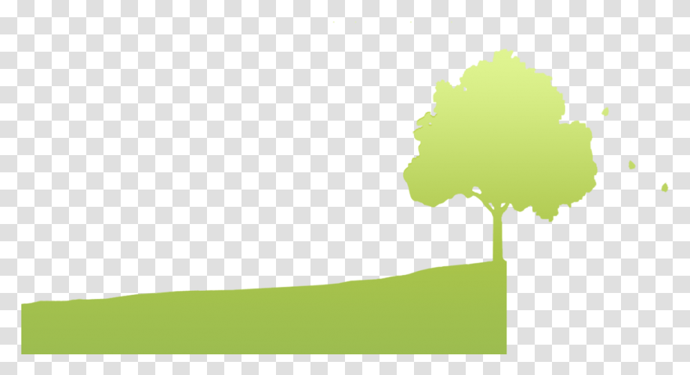 Boom, Outdoors, Plant, Nature, Plot Transparent Png