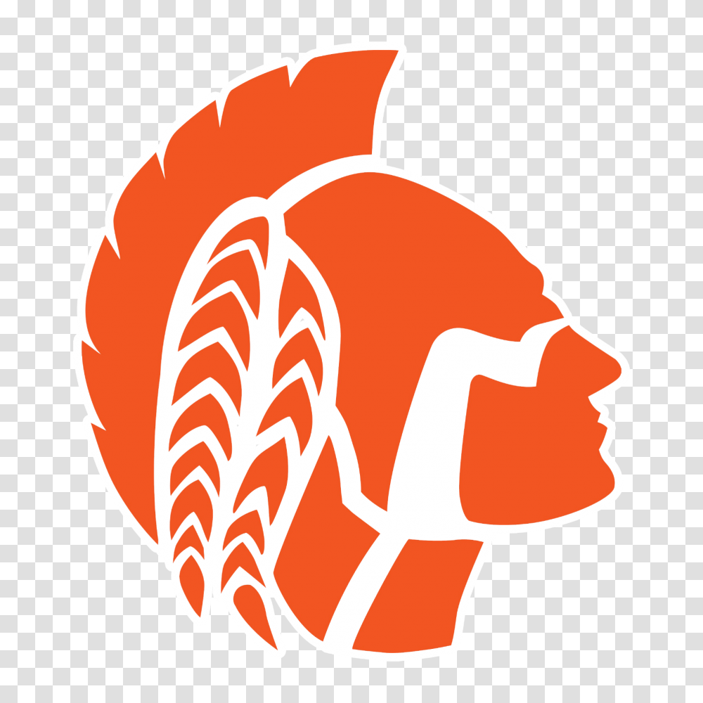 Boone Boone High School Logo, Animal, Fish, Text, Label Transparent Png