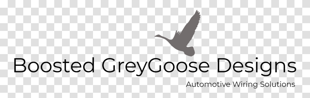 Boosted Greygoose Designs Logo, Bird, Animal, Flying, Silhouette Transparent Png