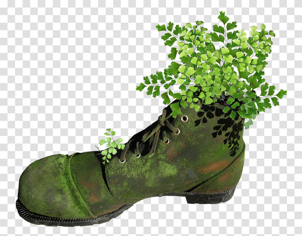 Boot Old Mossy Planter Fern Garden Novelty Boot, Apparel, Footwear, Green Transparent Png
