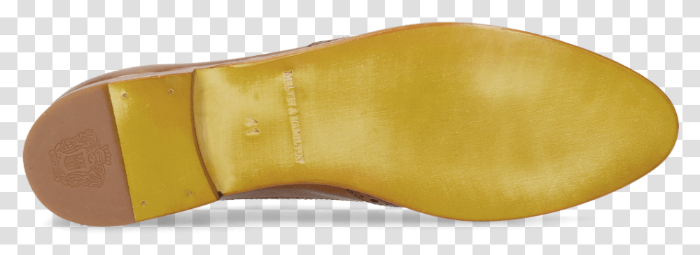 Boot, Plant, Cushion, Couch, Furniture Transparent Png