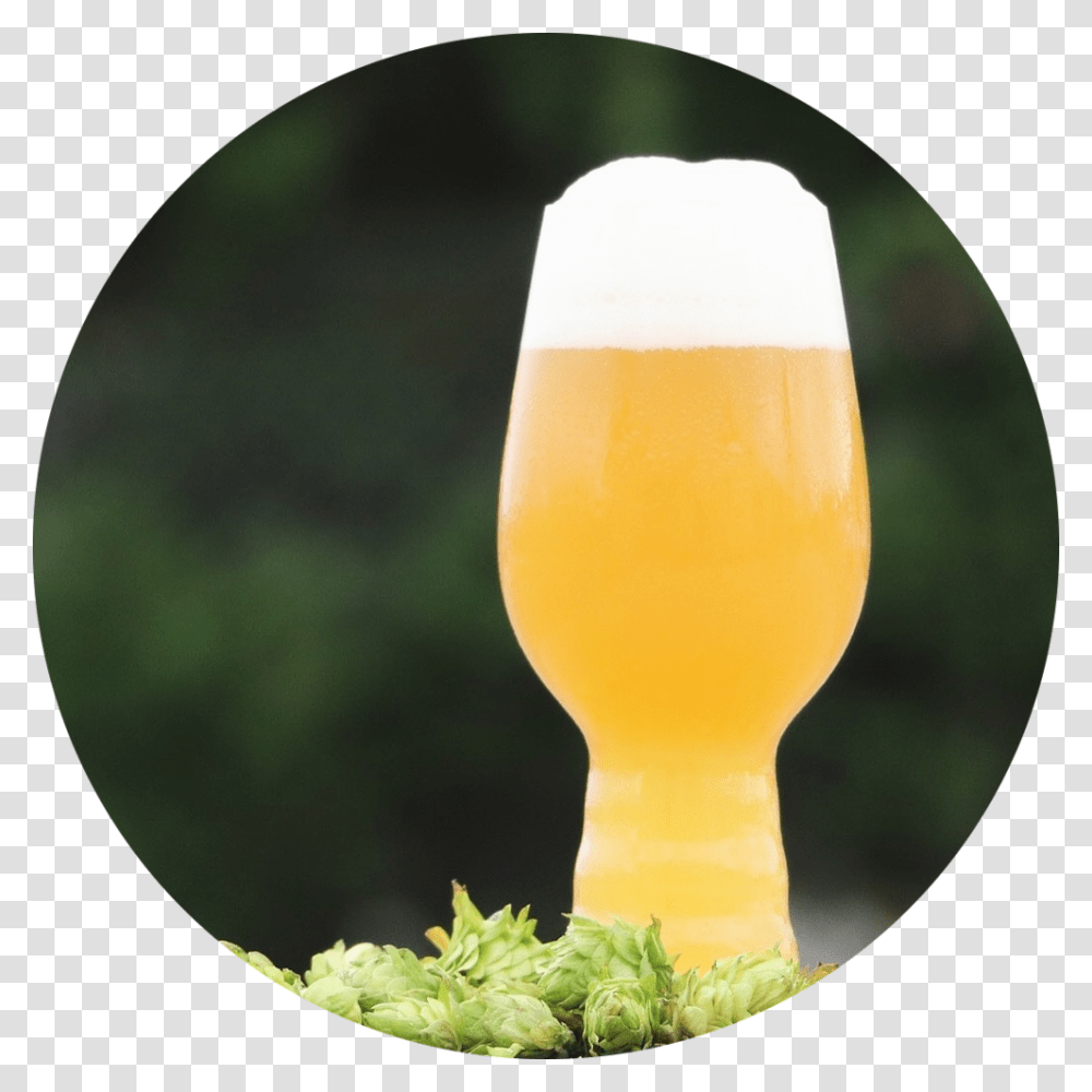 Boozygroggy Beer Glass, Alcohol, Beverage, Drink, Lager Transparent Png