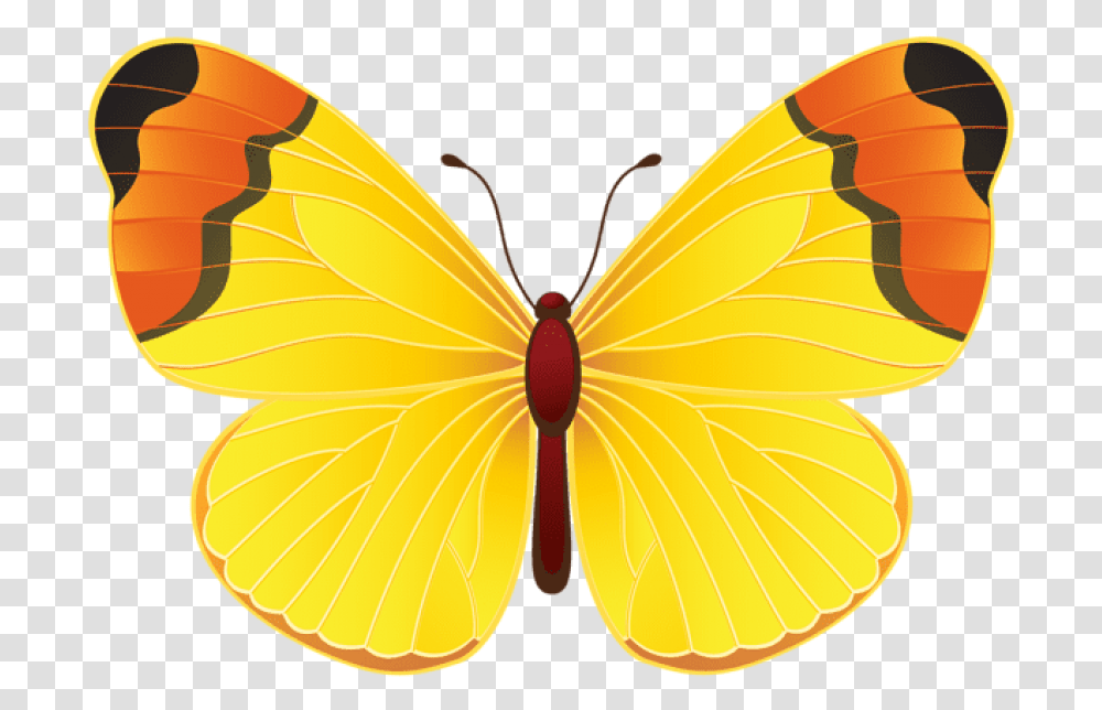 Borboleta Azul Colorida Imagens E Moldes Clipart Butterfly Yellow, Insect, Invertebrate, Animal, Pattern Transparent Png