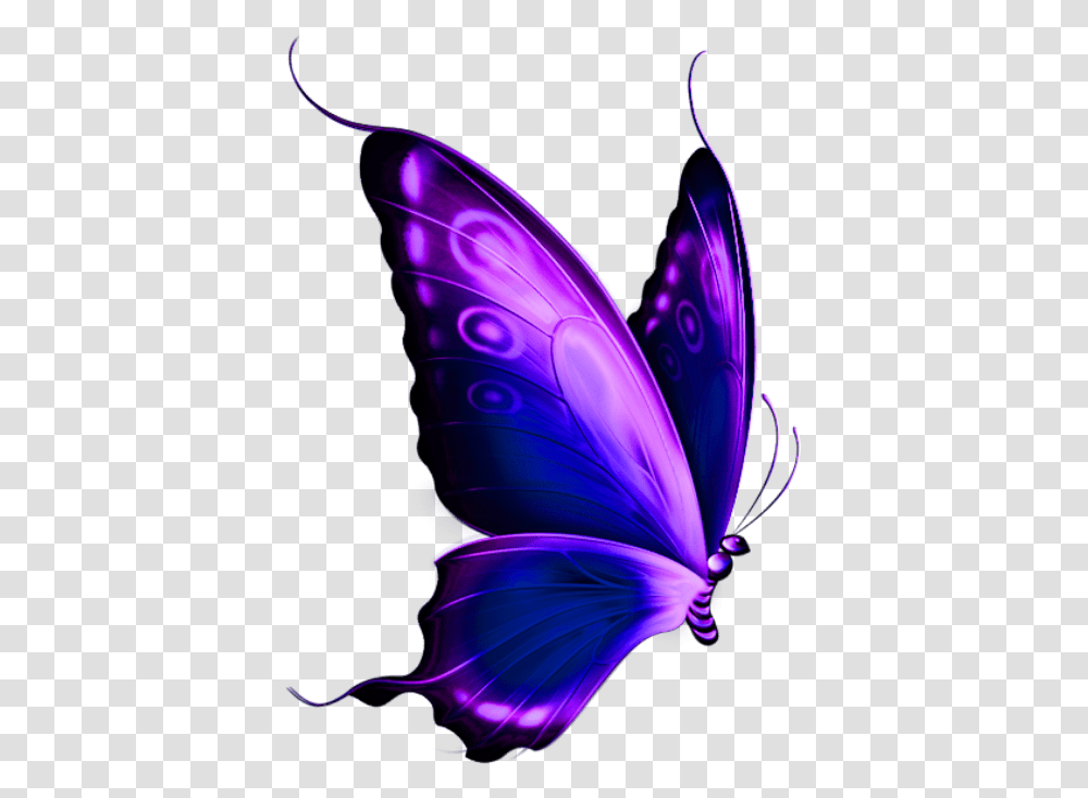 Borboleta Roxa E Preta 5 Background Butterfly, Ornament, Pattern Transparent Png