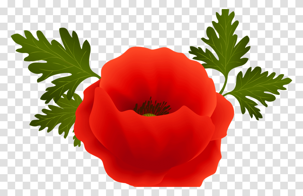 Border Clip Art Poppy Flowers Gardening Flower And Vegetables, Rose, Plant, Blossom, Petal Transparent Png