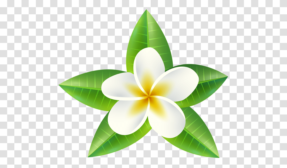 Border Clipart Tropical Flower Pictures, Leaf, Plant, Lamp, Blossom Transparent Png