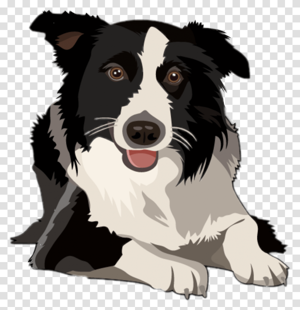 Border Collie Border Collie Clipart Free, Dog, Pet, Canine, Animal Transparent Png
