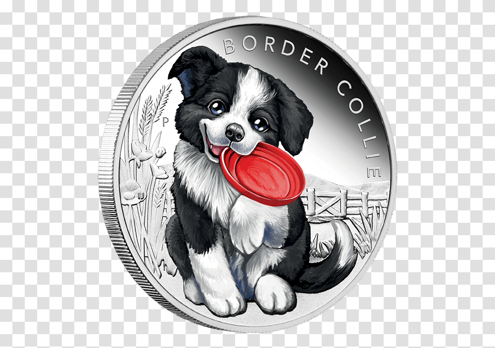Border Collie, Dog, Pet, Canine, Animal Transparent Png